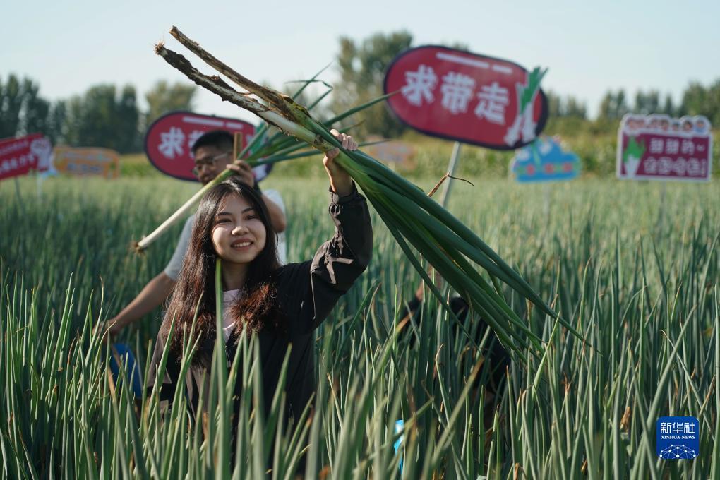 五龙争霸老虎机